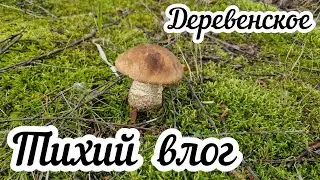 Тихий деревенский влог🏠🍄‍🟫🐈‍⬛