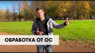 Гринери. Обработка от ос, мух, шершней.