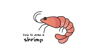 79. How to Draw a Shrimp Step by Step