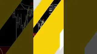 Major Runaway! Todd Trades Live | #StockOptions #DayTrading 📈