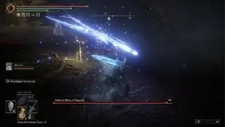 Malenia, The 50th Attempt