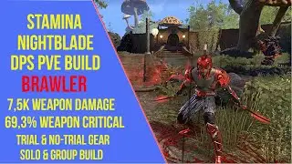 ESO Stamina Nightblade DPS PVE Build - Brawler - High Isle