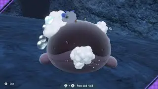 PSN Gaming: Clodsire Gets Cleaned