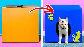 18 IDEE GENIALI PER GLI AMANTI DEGLI ANIMALI