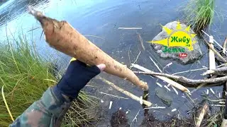 Понять Рыбу. Почему клюет? Почему не клюет? Искусство рыбалки.