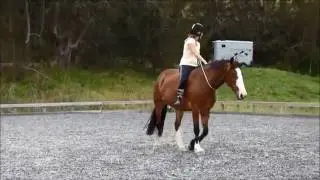 First Time Riding Tackless!