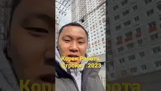 Корея.Работа.Стройка 2023