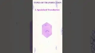 types of transduction