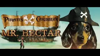 Pirates of the Caribbean Mr. Hectar (Переговоры)