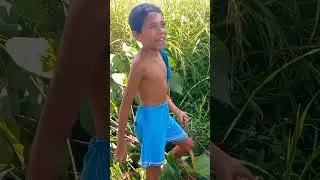 NAGPAKOHA AKO NG MGA KAHOY SA MGA BATANG GALA