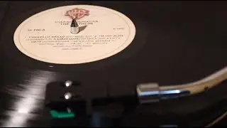 Frank Zappa - Dirty Love (1973 vinyl rip)