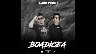 Boadicea ( Maull X Balballae Edit )