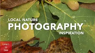 You've just gotta love local nature photography