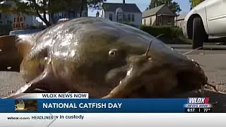 GMM celebrating National Catfish Day