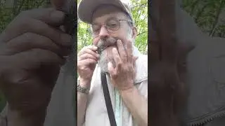 Утренняя песнь на высоком варгане Олега Щипанова
