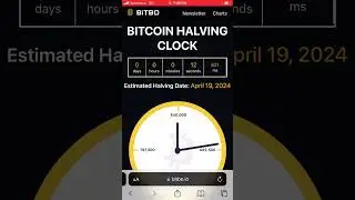 We Just Halved 4-19-2024 wow #btc #bitcoin