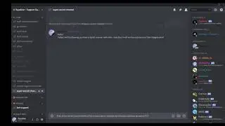 Discord Nitro Server Boosting