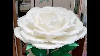 Белоснежная роза, собираем воедино!