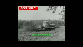 🌾🌿🥖Работы по мульчированию почвы Дт-75 и Дт-54 shorts#1✅
