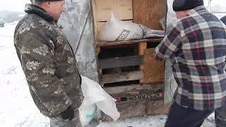 УФА. ПЕРВЫЙ ПОКУПАТЕЛЬ. БИО-ФЕРМА МАНГАЛИЦА