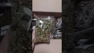 Отзыв о наших травах  от Анастасии Сурмановой :)