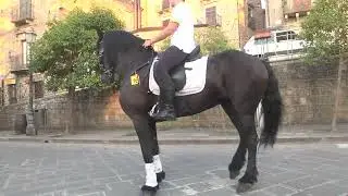 MISTRETTA - BIMBI A CAVALLO - ECCEHOMO  2024