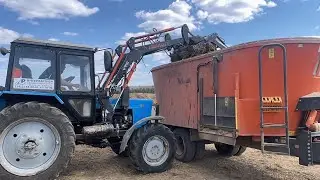 Трактор МТЗ-82 на погрузке силоса. Не вижу смысла молчать, обзор на кормосмеситель из Беларуси.