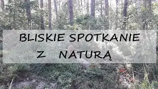 Bliskie Spotkanie z Naturą #1