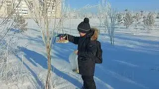 Экологическая акция в городском парке