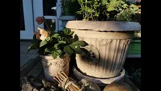 Pots - a second life!