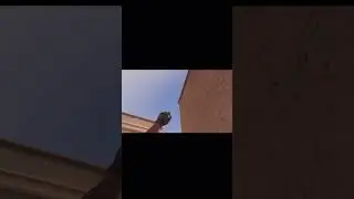 Как легко закрыть дюну 