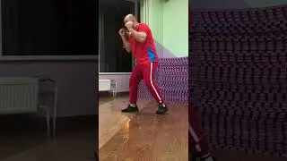 Маятник Тайсона бокс .