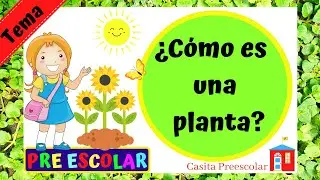 Cómo es una planta #Aprendeencasa PREESCOLAR