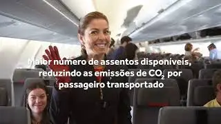 Dia Mundial do Ambiente // Compromisso com a Sustentabilidade