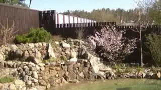 Пруд с водопадом