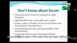 Tester, QA,Test Lead and Test Manager To  Scrum Master  2024