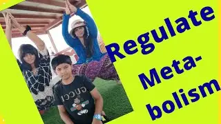 regulate metabolism