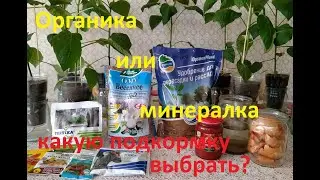 Минералка или Органика? Результаты тестирования подкормок на перце.