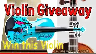 I Hired an Artist to make a Custom Mr Beast Violin