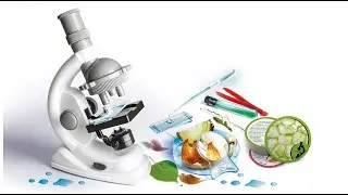 Детский настольный микроскоп Scientific