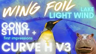 Wing Foil Progression 188 -  Gong Stunt + curve H V3  First impression
