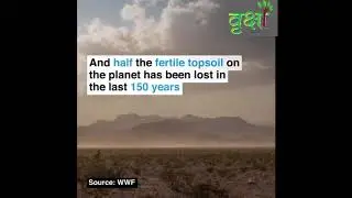 Nature Sustainability                             #AdoptATreeChallenge #MissionVriksha #GoGreen