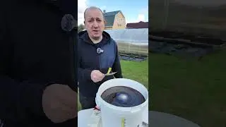 Как сделать настоящий квас  