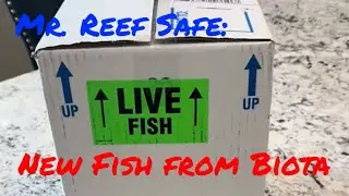 Unboxing Fish from Biota