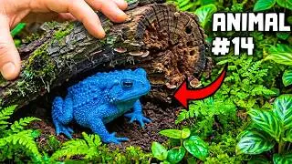 I looked for animals in the jungle, it got bad... quickly