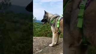 Уизли залезла очень высоко 😱