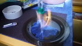 100 головы с винного гриба