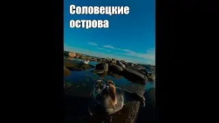Соловецкие острова. Природа