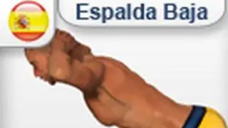 Ejercicios músculos  Espalda baja lumbares - HIPEREXTENSIONES - EXTENSION DEL TRONCO