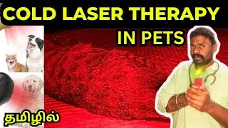 COLD LASER THERAPY | PETS | TAMIL #trending #viral #viralvideo #video #trendingvideo #dog #cat #pets